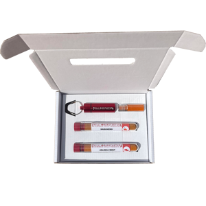 Chili Box No.5 Hot Selection – Set mit Schlüsselanhänger, 4-teilig