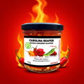 Eingelegte Carolina Reaper mit Jolokia und Jalapeno 110g