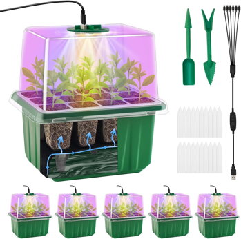 CHILI-SAMEN und GROW-BOXEN