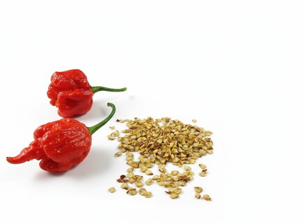 Dragons Breath-Samen