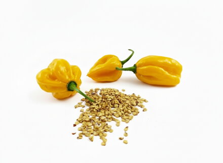 Habanero Yellow  Samen